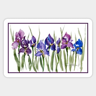 French Iris Watercolor Purple Sticker